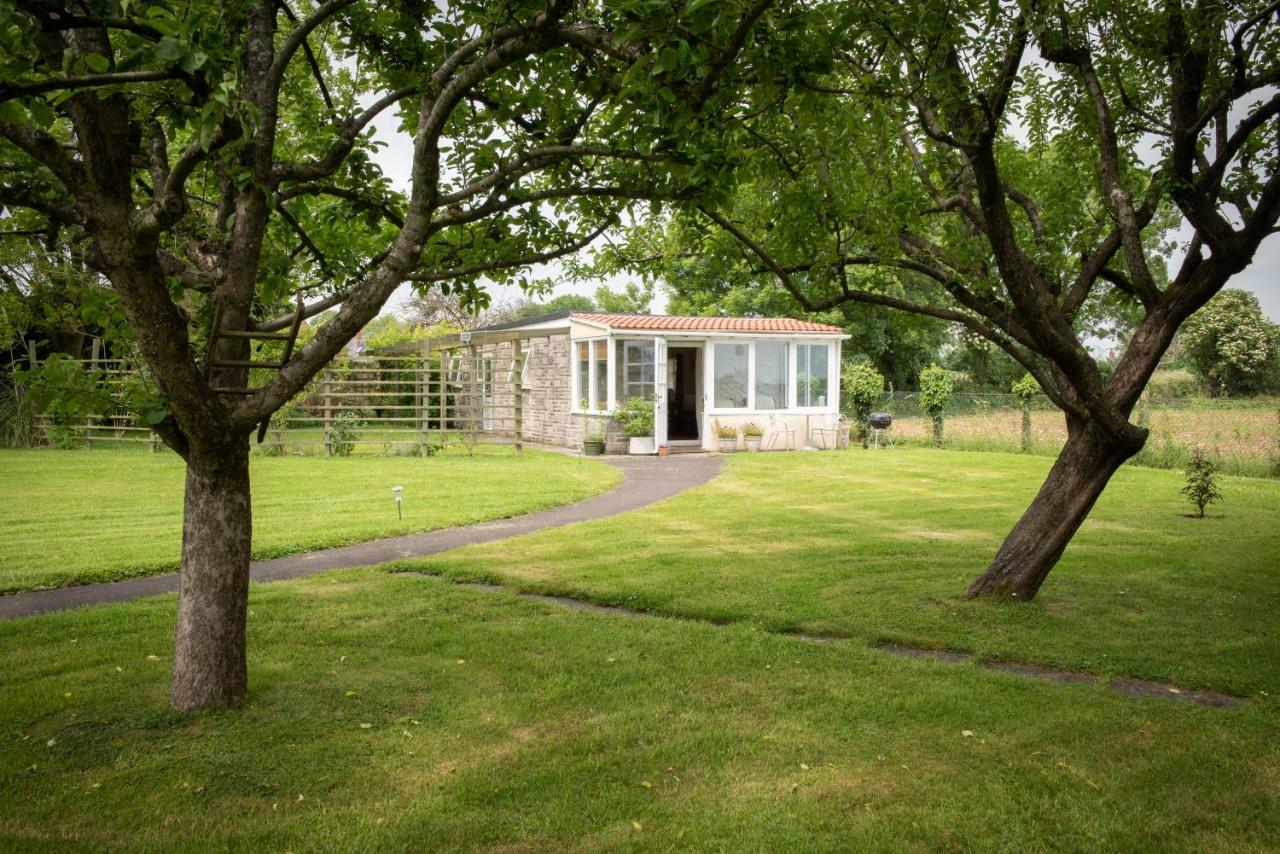 The Studio Somerton  Exterior foto
